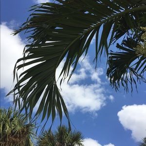 Meet your Posher, Alison